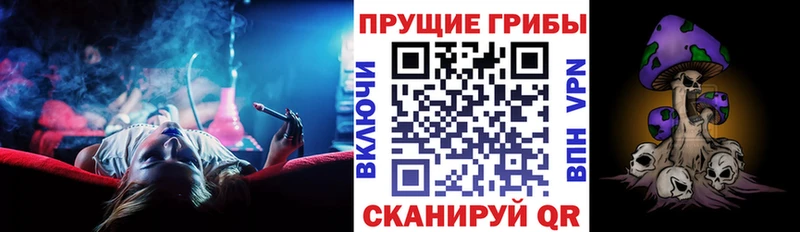 Псилоцибиновые грибы Psilocybine cubensis  Купить где  Ижевск 